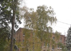 Печаль і мудрість вічної природи