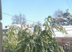 Печаль і мудрість вічної природи