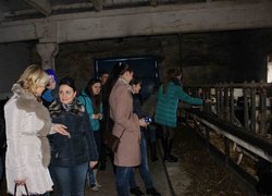 ДП «Умань-Агро»