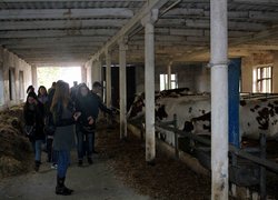 Виїзне засідання наукового гуртка кафедри менеджменту організацій на виробничій базі CТОВ «Верхнячка-Агро»