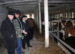 Виїзне засідання наукового гуртка кафедри менеджменту організацій на виробничій базі CТОВ «Верхнячка-Агро»