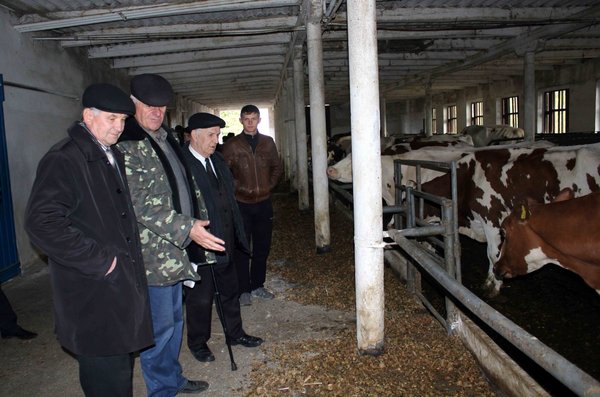 Виїзне засідання наукового гуртка кафедри менеджменту організацій на виробничій базі CТОВ «Верхнячка-Агро»