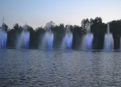 Незабутня подорож до міста Лева