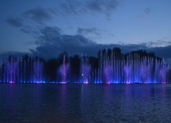 Незабутня подорож до міста Лева