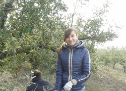 Практика студентів у яблуневому саду