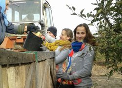 Практика студентів у яблуневому саду