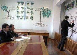 Робота журі під час конкурсу з обрізування винограду