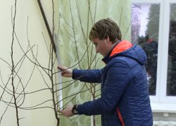 Довжину пагона вимірює Карачун Віталій, Харківський НАУ