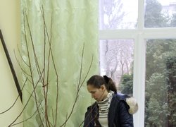 Обрізування саджанця абрикоса виконує Ольга Кльось, Львівський НАУ