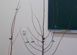 Так виглядає дерево після обрізування
