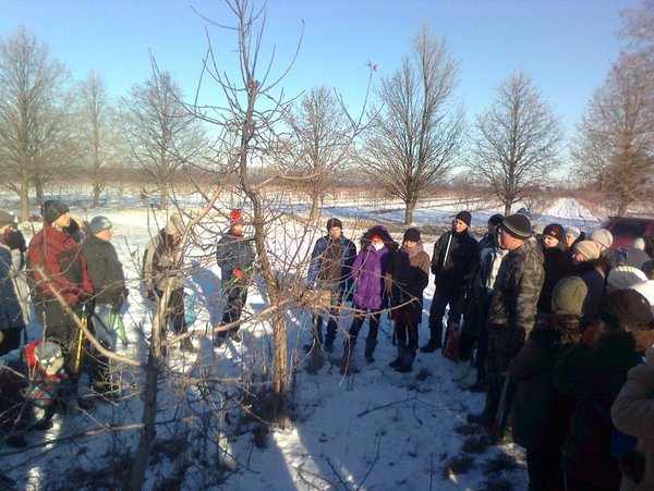 Загальні вимоги щодо обрізування дерев яблуні з кроною "струнке веретено" на прикладі сорту Джонаголд озвучує доцент Петро Головатий