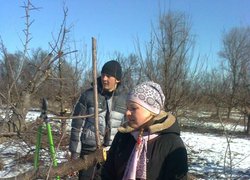 Навчальна практика 31-ЗР групи  з обрізування дерев у ННВВ Уманського НУС