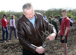 Закладено новий яблуневий сад