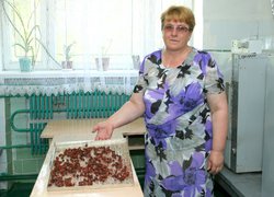 Ніколи і нікому не здолати наш народ!