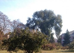 Мірна стрічка повинна розташовуватись строго вздовж лінії