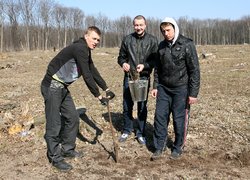 Уманський НУС бере участь в озелененні