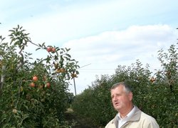 Огляд дослідів із садівничої тематики «День саду УНУС»