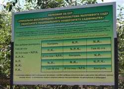 Огляд дослідів із садівничої тематики «День саду УНУС»