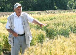 День поля Уманського НУС