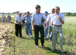 День поля Уманського НУС