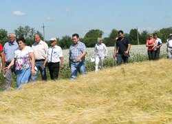 День поля Уманського НУС