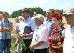 День поля Уманського НУС