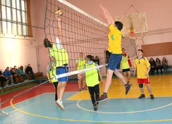 Відбувся чемпіонат з волейболу серед збірних чоловічих команд
