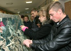Допомога воїнам АТО