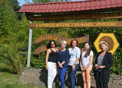 Апітуризм - перспективний напрямок сільського зеленого туризму