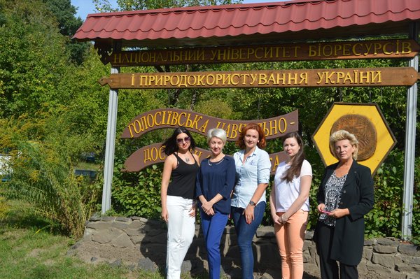 Апітуризм - перспективний напрямок сільського зеленого туризму