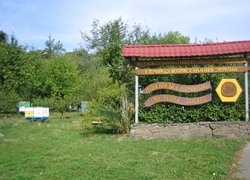 Апітуризм - перспективний напрямок сільського зеленого туризму