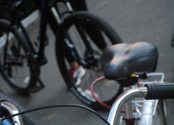 Велопробіг «Зеленими стежками Уманщини»
