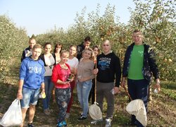 Ентомофауна в саду