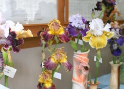В Уманському НУС відсвяткували День науки