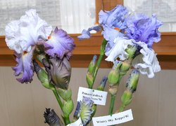 В Уманському НУС відсвяткували День науки