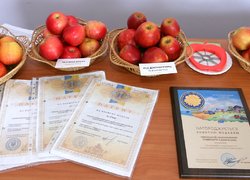 Перспективи освітньої співпраці Уманського НУС з Республікою Туркменістан