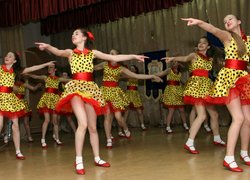 Оголошено результати обласного етапу XIII Всеукраїнського фестивалю художньої  творчості   «Софіївські зорі»