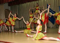 Оголошено результати обласного етапу XIII Всеукраїнського фестивалю художньої  творчості   «Софіївські зорі»