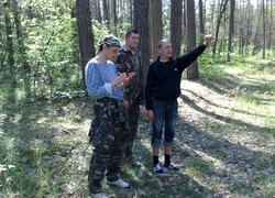 Forestry