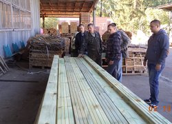 Forestry