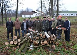 Forestry