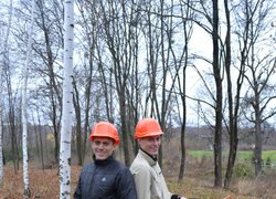 Forestry