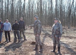 Forestry