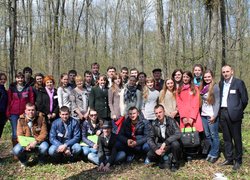 Forestry