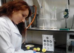 Виконання досліду "Показник деградації крохмалю за йод–крохмальною пробою"