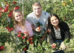 Horticulture and Viticulture