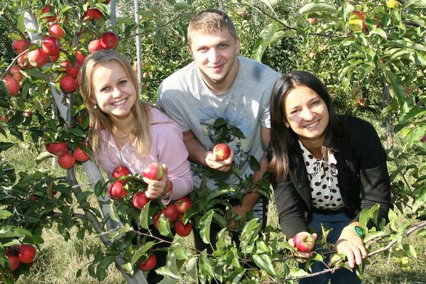 Horticulture and Viticulture