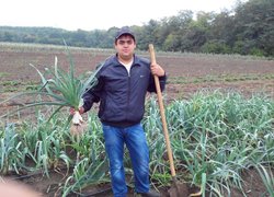 Садівництво, плодоовочівництво та виноградарство