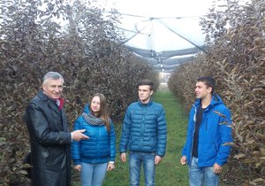 Інноваційні технології в навчальному процесі з садівництва