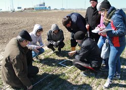 Студенти Уманського НУС на полях компанії «Bayer»